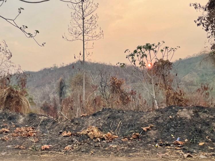 beyond the tipping point: amazon in a&nbsp;blaze